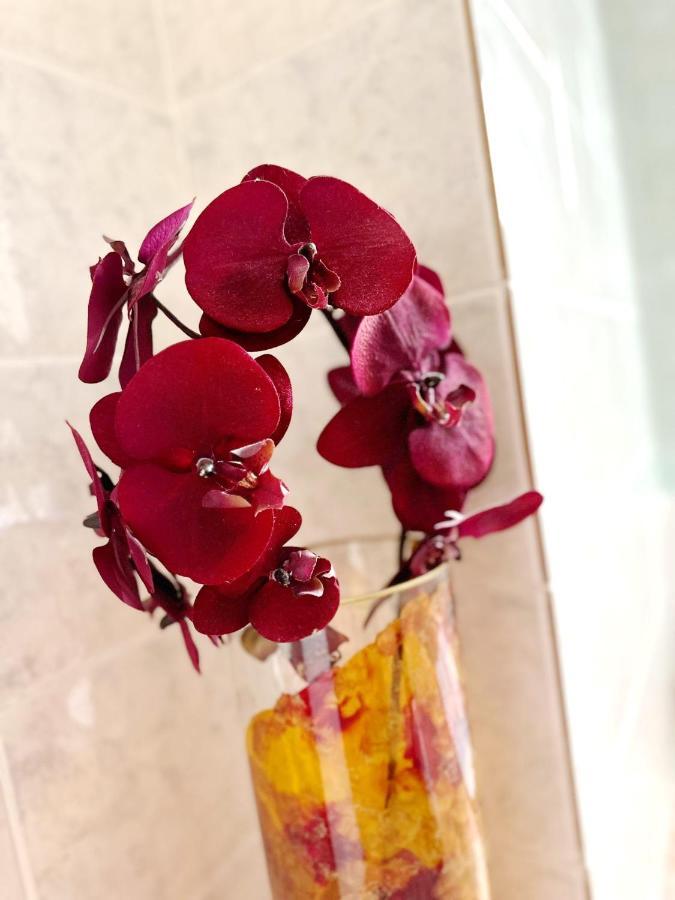 Villa Andreea 艾福雷诺德 外观 照片